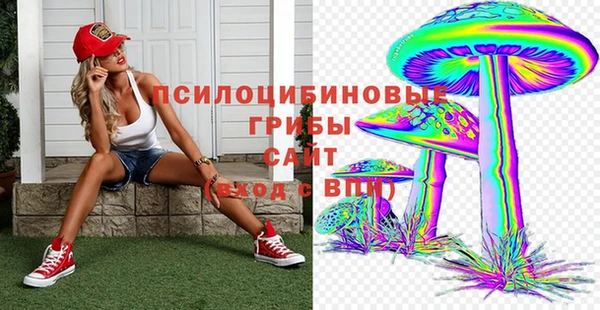a pvp Богданович