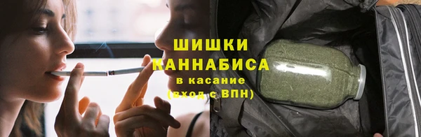 молекула духа Богородск