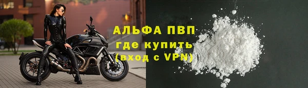 молекула духа Богородск